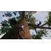 Away The Survival Series (PS5), ,